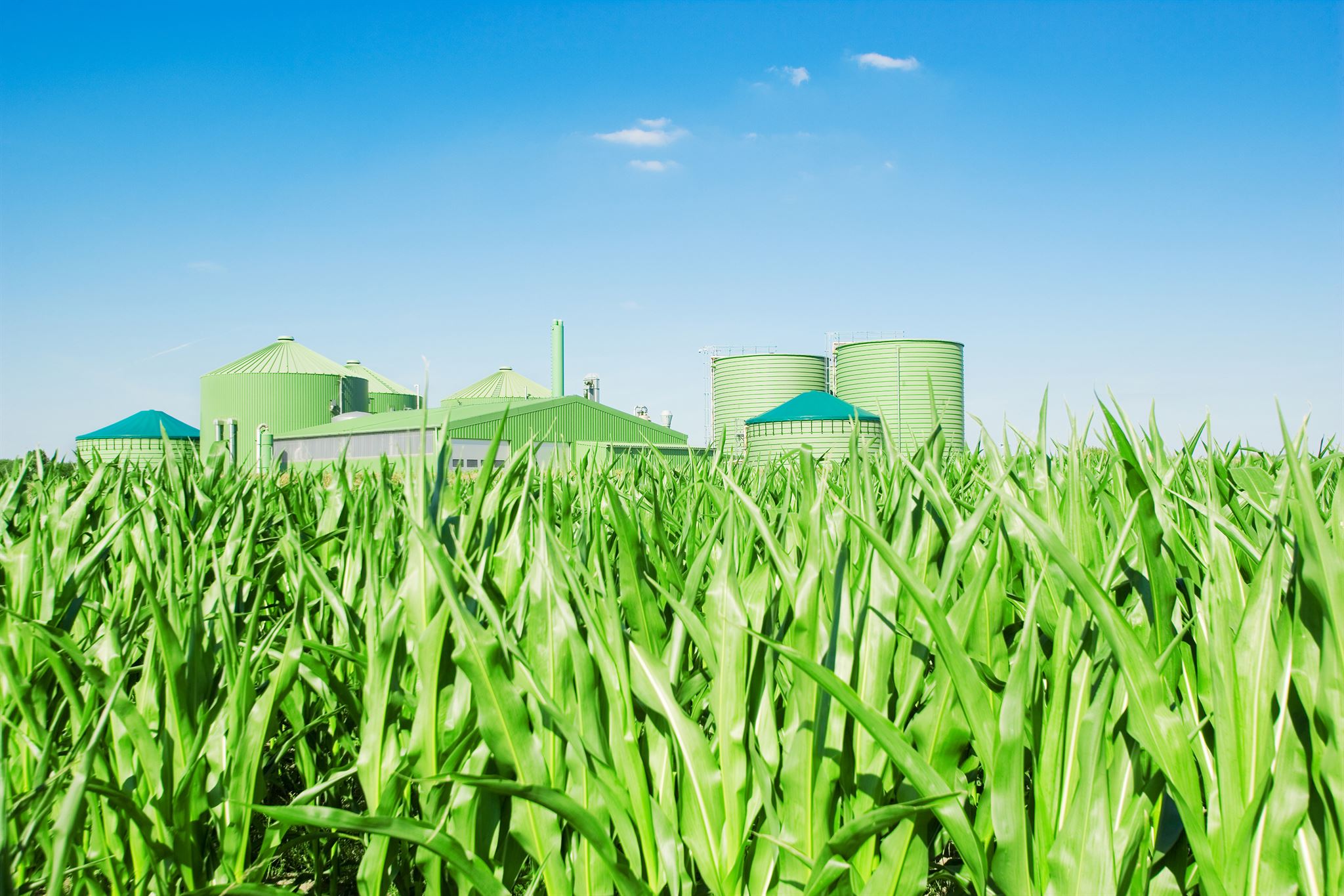 Eco-friendly building design